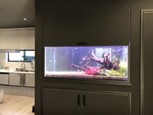 熱帯魚の水槽を壁に埋め込みました<br />

